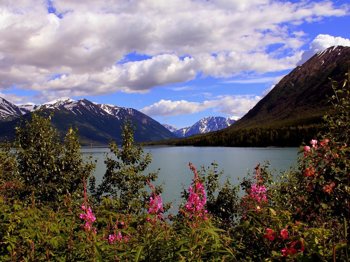 Reflection Lake Bed And Breakfast Anchorage Esterno foto